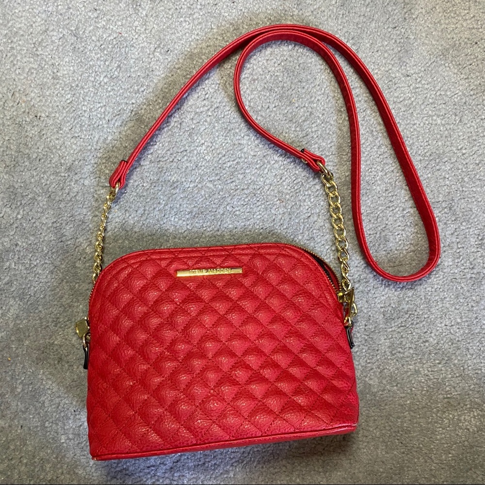 BNWOT! STEVE MADEN Crossbody Purse